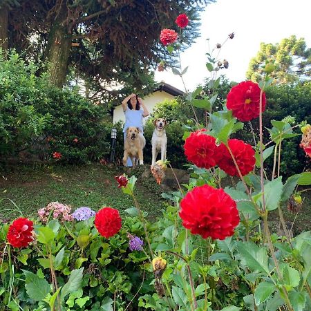 Casa Das Dalias مونتي فيردي المظهر الخارجي الصورة